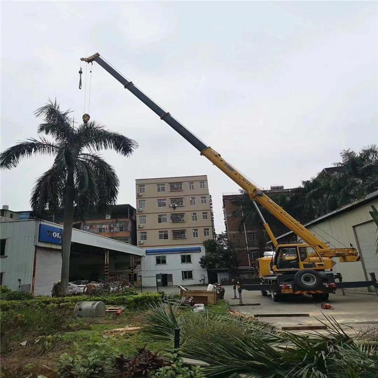 蕉城吊车出租的费用解析：你不可不知的行业秘密